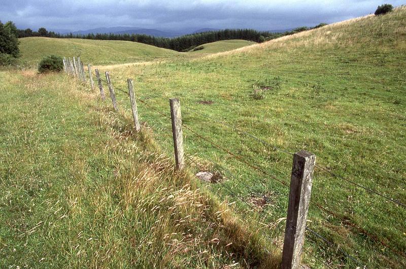 RWT 0341 352-13 UK Scotland Into the Rain.jpg